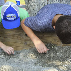 Croaker Festival kids searching for sharks teeth at kid's park